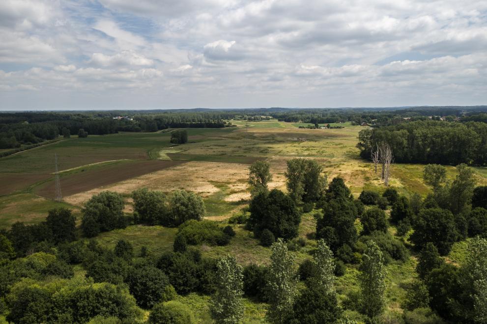 Nature restoration site