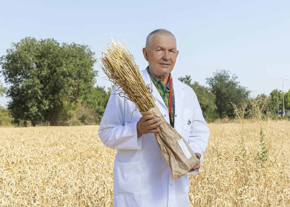 Mykola Kharytonov in a wheat field